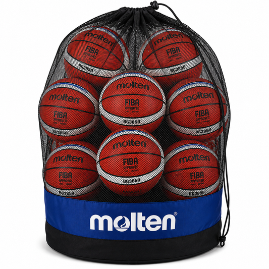 BG3850 X 10 + SAC OFFERT